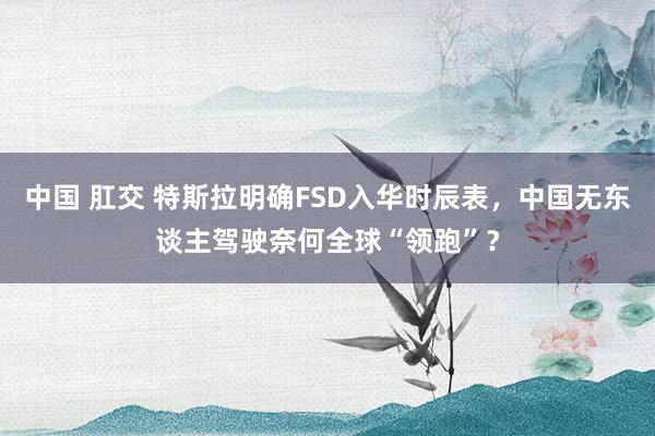 中国 肛交 特斯拉明确FSD入华时辰表，中国无东谈主驾驶奈何全球“领跑”？