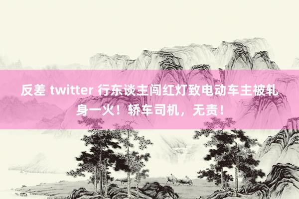 反差 twitter 行东谈主闯红灯致电动车主被轧身一火！轿车司机，无责！