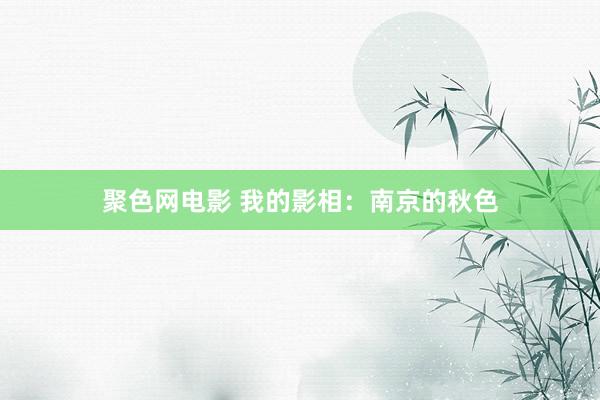 聚色网电影 我的影相：南京的秋色