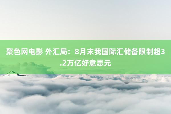 聚色网电影 外汇局：8月末我国际汇储备限制超3.2万亿好意思元