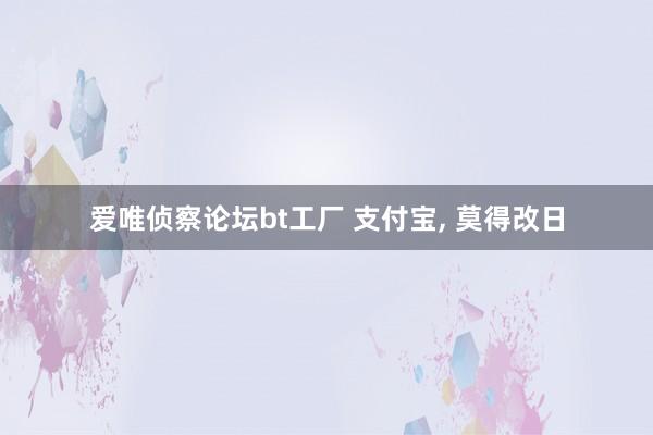 爱唯侦察论坛bt工厂 支付宝， 莫得改日