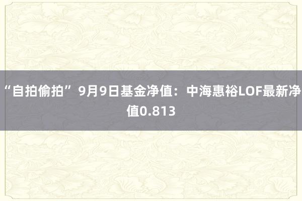 “自拍偷拍” 9月9日基金净值：中海惠裕LOF最新净值0.813