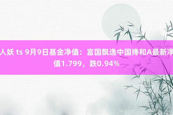 人妖 ts 9月9日基金净值：富国飘逸中国搀和A最新净值1.799，跌0.94%