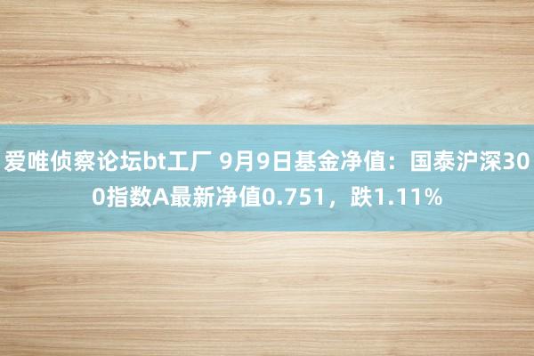 爱唯侦察论坛bt工厂 9月9日基金净值：国泰沪深300指数A最新净值0.751，跌1.11%