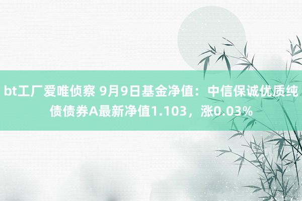 bt工厂爱唯侦察 9月9日基金净值：中信保诚优质纯债债券A最新净值1.103，涨0.03%