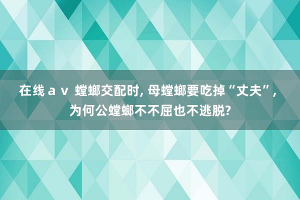 在线ａｖ 螳螂交配时， 母螳螂要吃掉“丈夫”， 为何公螳螂不不屈也不逃脱?