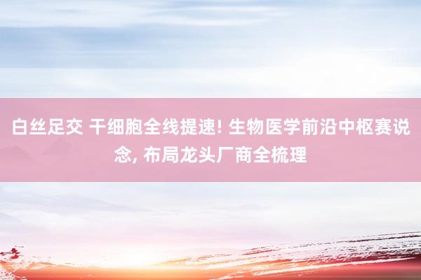 白丝足交 干细胞全线提速! 生物医学前沿中枢赛说念， 布局龙头厂商全梳理