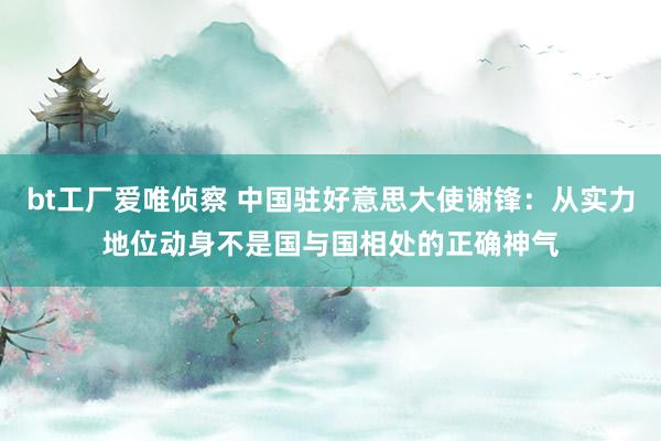 bt工厂爱唯侦察 中国驻好意思大使谢锋：从实力地位动身不是国与国相处的正确神气