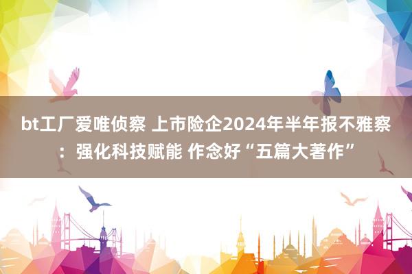 bt工厂爱唯侦察 上市险企2024年半年报不雅察：强化科技赋能 作念好“五篇大著作”