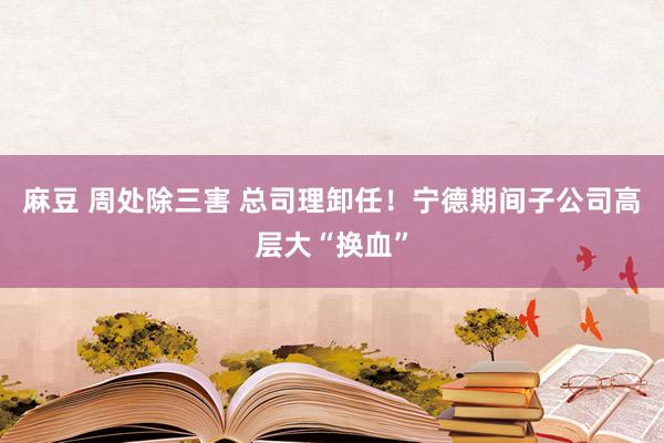 麻豆 周处除三害 总司理卸任！宁德期间子公司高层大“换血”