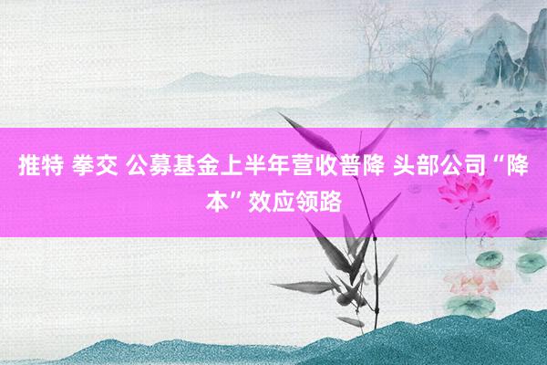 推特 拳交 公募基金上半年营收普降 头部公司“降本”效应领路