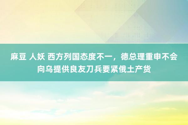 麻豆 人妖 西方列国态度不一，德总理重申不会向乌提供良友刀兵要紧俄土产货