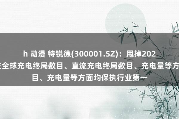 h 动漫 特锐德(300001.SZ)：甩掉2024年6月底，公司在全球充电终局数目、直流充电终局数目、充电量等方面均保执行业第一