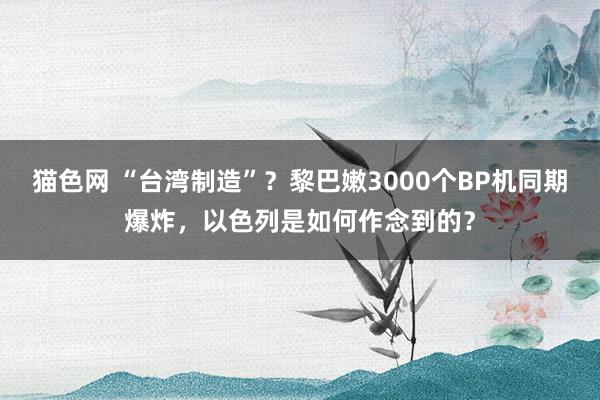 猫色网 “台湾制造”？黎巴嫩3000个BP机同期爆炸，以色列是如何作念到的？