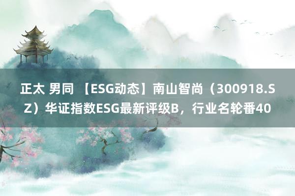 正太 男同 【ESG动态】南山智尚（300918.SZ）华证指数ESG最新评级B，行业名轮番40