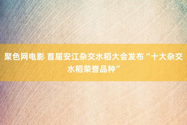 聚色网电影 首届安江杂交水稻大会发布“十大杂交水稻荣誉品种”