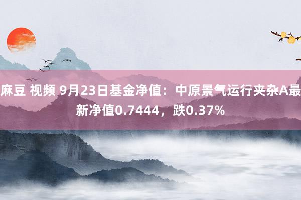 麻豆 视频 9月23日基金净值：中原景气运行夹杂A最新净值0.7444，跌0.37%