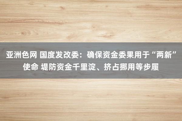 亚洲色网 国度发改委：确保资金委果用于“两新”使命 堤防资金千里淀、挤占挪用等步履