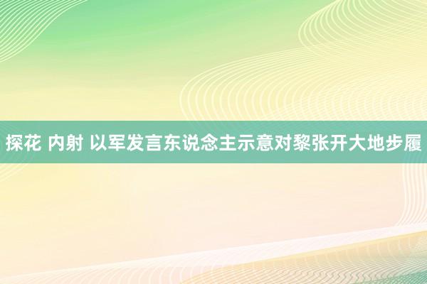 探花 内射 以军发言东说念主示意对黎张开大地步履