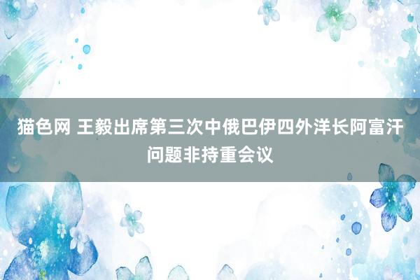 猫色网 王毅出席第三次中俄巴伊四外洋长阿富汗问题非持重会议