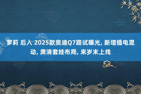 萝莉 后入 2025款奥迪Q7路试曝光， 新增插电混动， 肃清套娃布局， 来岁末上线