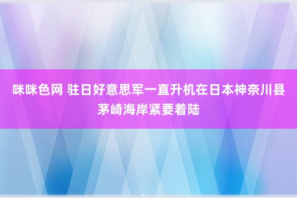 咪咪色网 驻日好意思军一直升机在日本神奈川县茅崎海岸紧要着陆