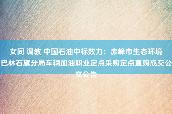 女同 调教 中国石油中标效力：赤峰市生态环境局巴林右旗分局车辆加油职业定点采购定点直购成交公告