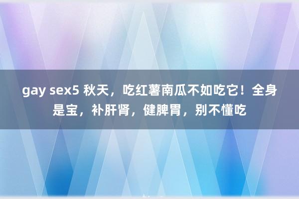 gay sex5 秋天，吃红薯南瓜不如吃它！全身是宝，补肝肾，健脾胃，别不懂吃