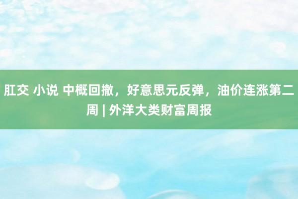 肛交 小说 中概回撤，好意思元反弹，油价连涨第二周 | 外洋大类财富周报