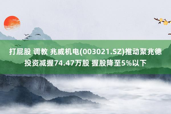 打屁股 调教 兆威机电(003021.SZ)推动聚兆德投资减握74.47万股 握股降至5%以下