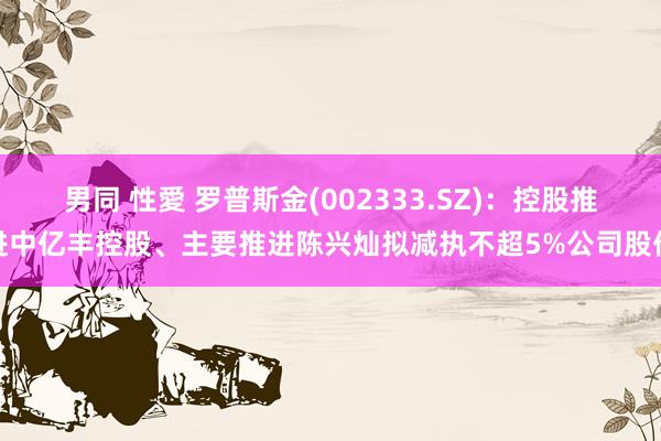 男同 性愛 罗普斯金(002333.SZ)：控股推进中亿丰控股、主要推进陈兴灿拟减执不超5%公司股份