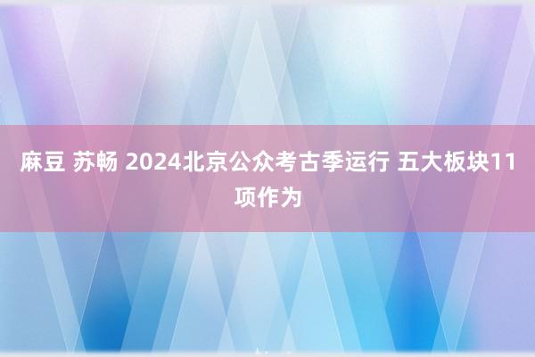 麻豆 苏畅 2024北京公众考古季运行 五大板块11项作为