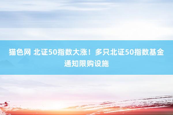 猫色网 北证50指数大涨！多只北证50指数基金通知限购设施