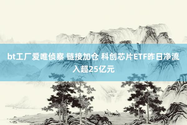 bt工厂爱唯侦察 链接加仓 科创芯片ETF昨日净流入超25亿元