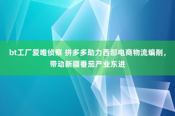 bt工厂爱唯侦察 拼多多助力西部电商物流编削，带动新疆番茄产业东进