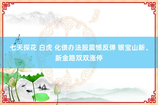 七天探花 白虎 化债办法股震憾反弹 银宝山新、新金路双双涨停