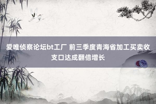 爱唯侦察论坛bt工厂 前三季度青海省加工买卖收支口达成翻倍增长