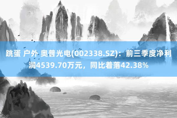 跳蛋 户外 奥普光电(002338.SZ)：前三季度净利润4539.70万元，同比着落42.38%