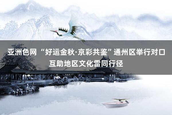 亚洲色网 “好运金秋·京彩共鉴”通州区举行对口互助地区文化雷同行径