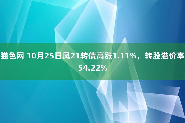 猫色网 10月25日凤21转债高涨1.11%，转股溢价率54.22%