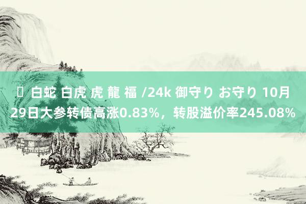 ✨白蛇 白虎 虎 龍 福 /24k 御守り お守り 10月29日大参转债高涨0.83%，转股溢价率245.08%