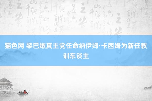 猫色网 黎巴嫩真主党任命纳伊姆·卡西姆为新任教训东谈主