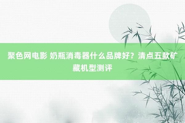 聚色网电影 奶瓶消毒器什么品牌好？清点五款矿藏机型测评