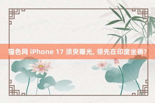 猫色网 iPhone 17 须臾曝光， 领先在印度坐褥?