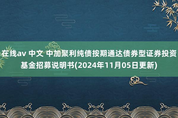 在线av 中文 中加聚利纯债按期通达债券型证券投资基金招募说明书(2024年11月05日更新)