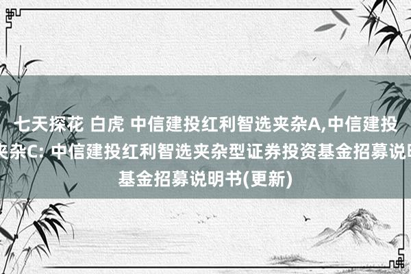 七天探花 白虎 中信建投红利智选夹杂A，中信建投红利智选夹杂C: 中信建投红利智选夹杂型证券投资基金招募说明书(更新)