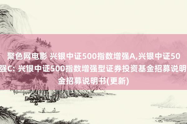 聚色网电影 兴银中证500指数增强A，兴银中证500指数增强C: 兴银中证500指数增强型证券投资基金招募说明书(更新)