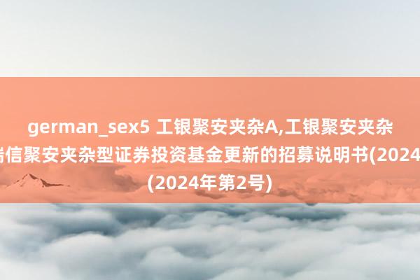 german_sex5 工银聚安夹杂A，工银聚安夹杂C: 工银瑞信聚安夹杂型证券投资基金更新的招募说明书(2024年第2号)