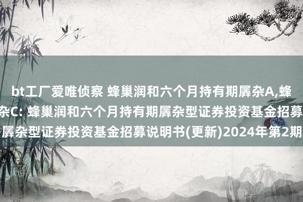 bt工厂爱唯侦察 蜂巢润和六个月持有期羼杂A，蜂巢润和六个月持有期羼杂C: 蜂巢润和六个月持有期羼杂型证券投资基金招募说明书(更新)2024年第2期