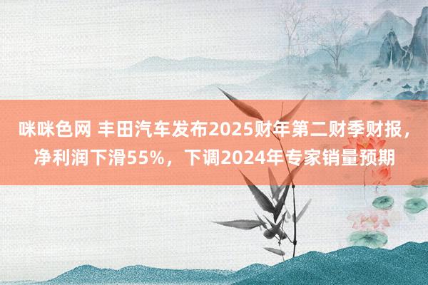 咪咪色网 丰田汽车发布2025财年第二财季财报，净利润下滑55%，下调2024年专家销量预期